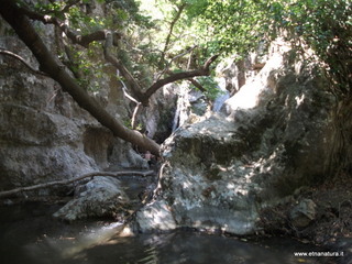 ldaia del Drago19-07-2015 11-36-11